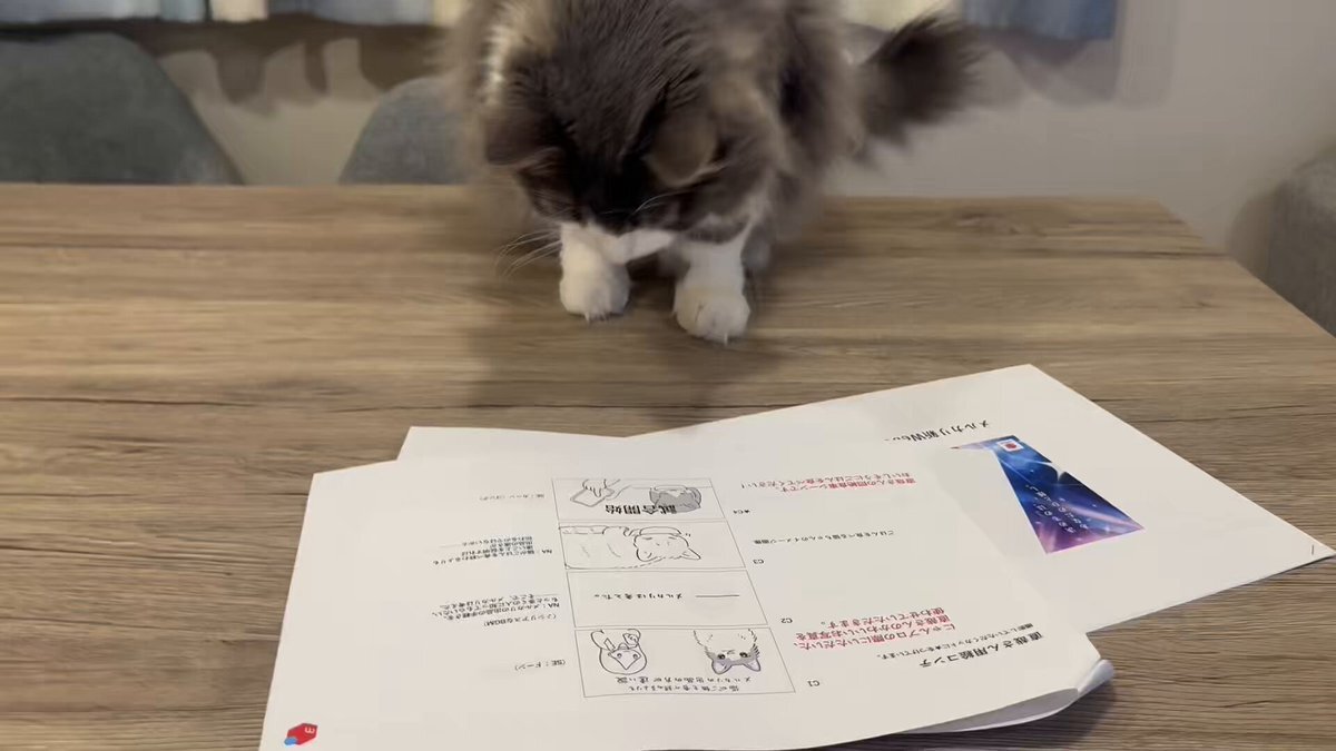 メルカリ」のYahoo!リアルタイム検索 - X（旧Twitter）をリアルタイム検索