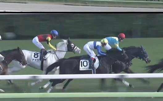 福島競馬場8Rでアオラキとファームツエンティ落馬
