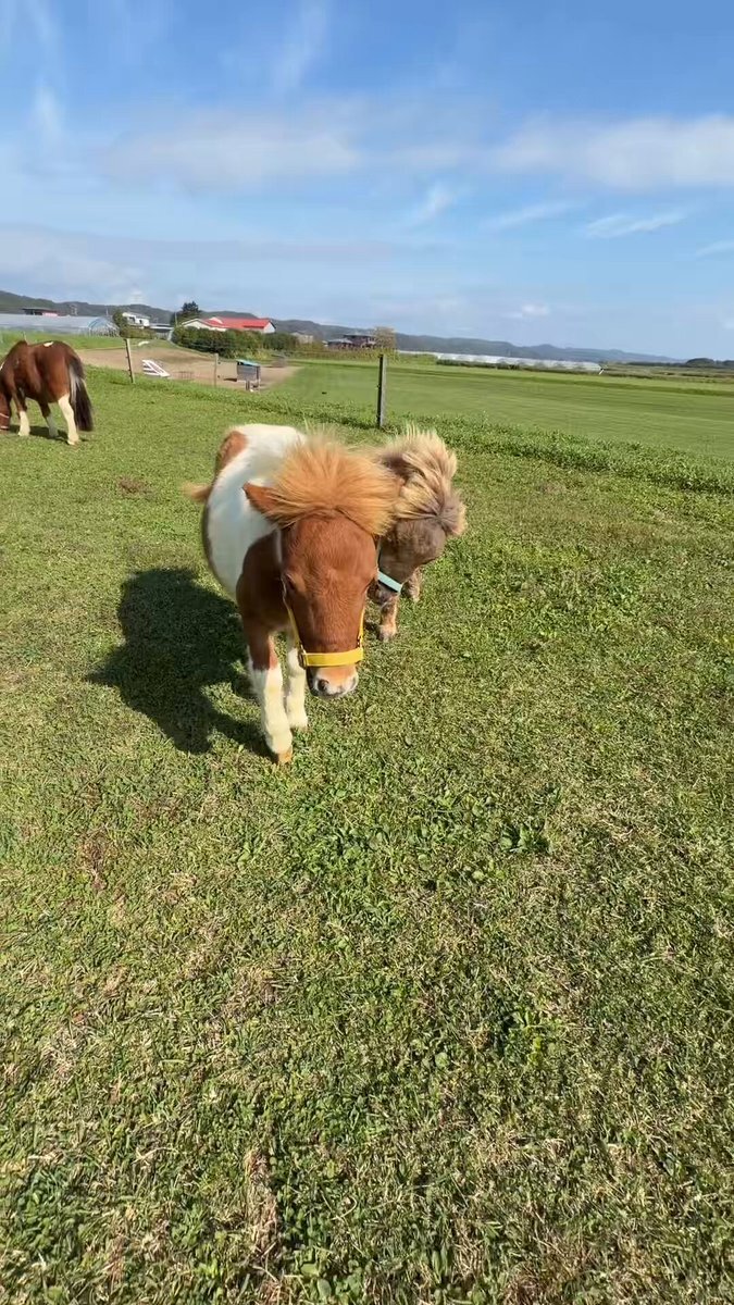 ルパン　※他の方は購入をご遠慮ください ZIPPO Zippo ジッポー ルパン三世 Lupin the 3rd PART5 オイル