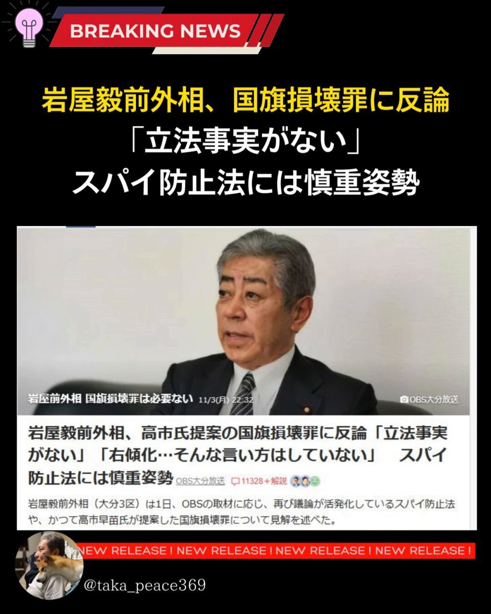 岩屋前外相、国旗損壊罪とスパイ防止法に慎重姿勢