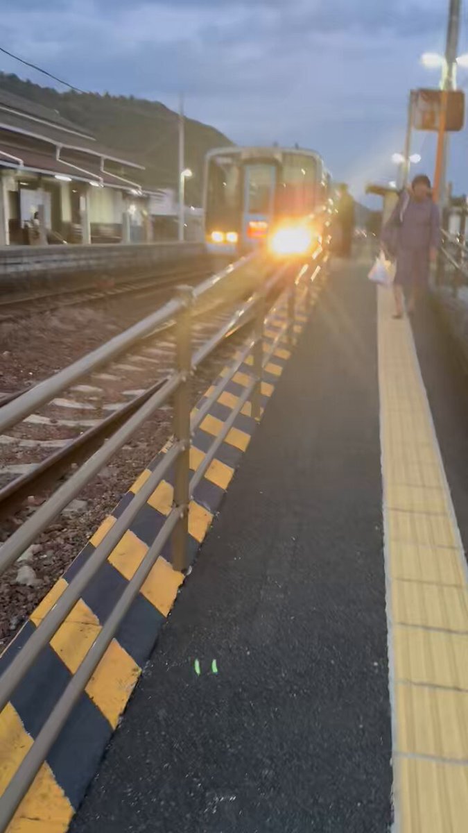 さとみ　2匹 X（旧Twitter）で話題のおもしろ画像や動画 - Yahoo!リアルタイム検索