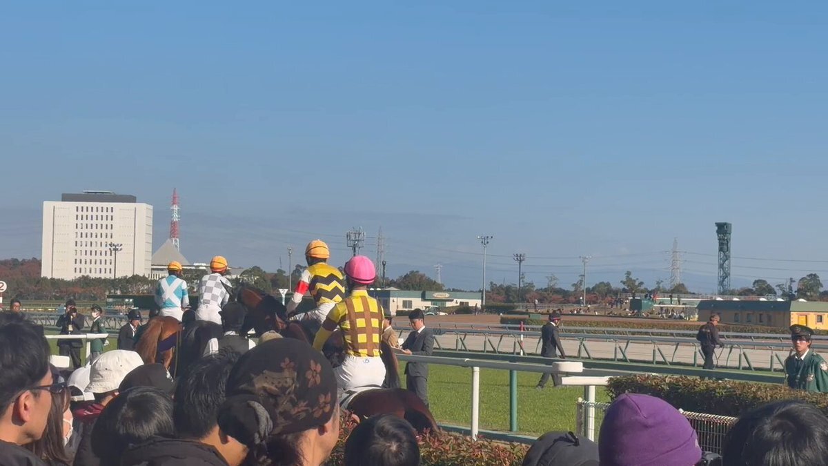 チャンピオンズカップ 本馬場入場、ナルカミとダブルハートボンドが注目を集める