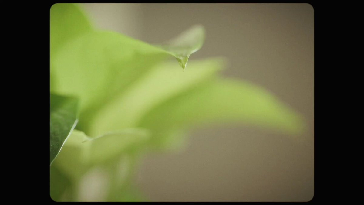 不器用な先輩。第7話、視聴者の心を掴んだのは？ 