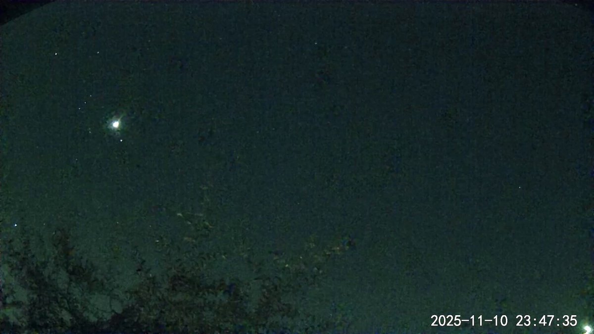 オリオン座が見やすい季節になった？