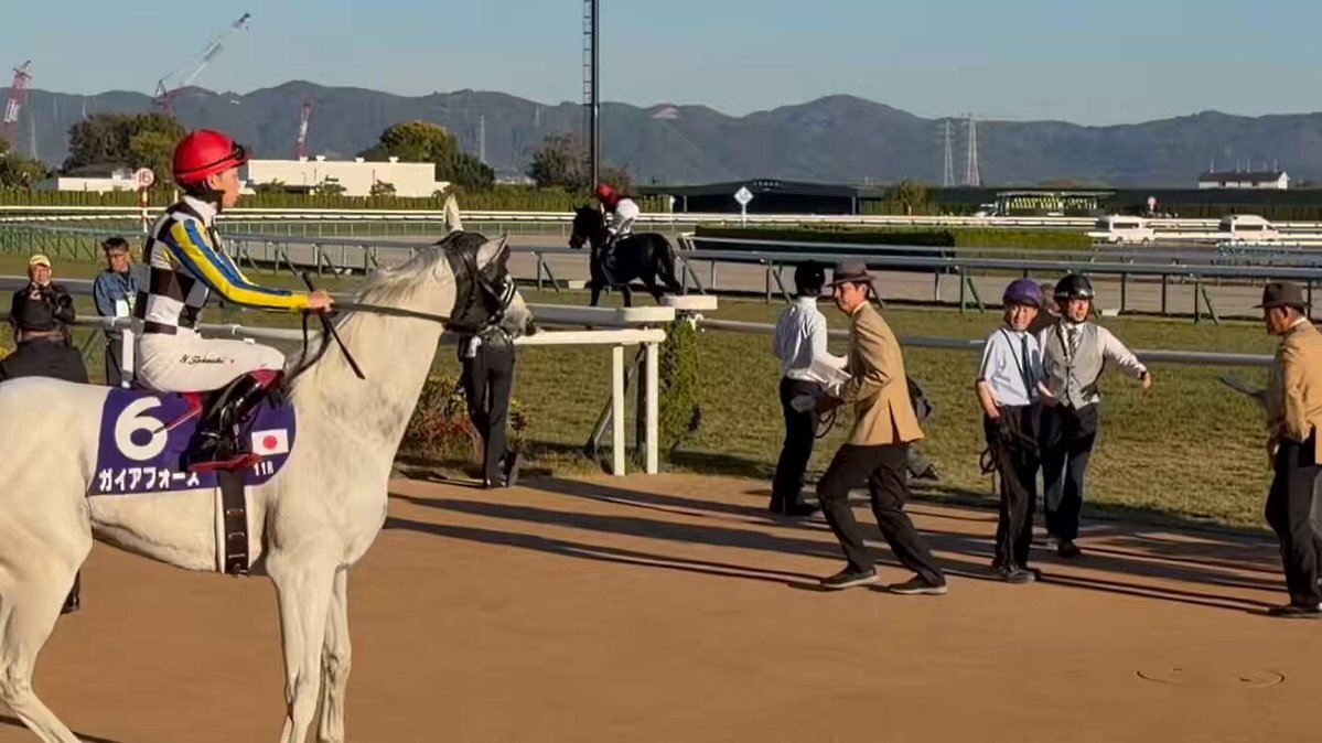 ガイアフォース、横山武史騎手！マイルCS2着で好走！