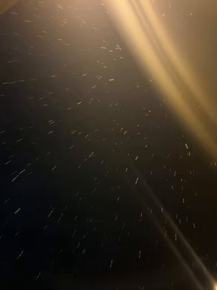 北海道で雪が降った！ 