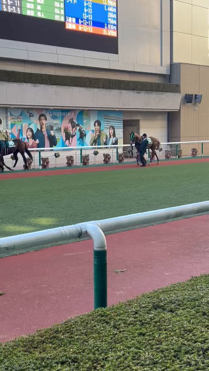 バビット、パドックで「バビ棒」連発！ファン興奮