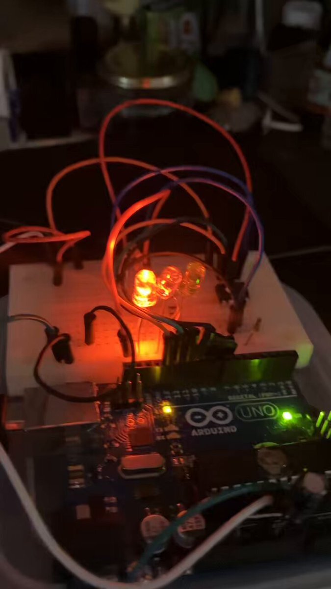 ユーザーがSNSで報告する喜びと達成感