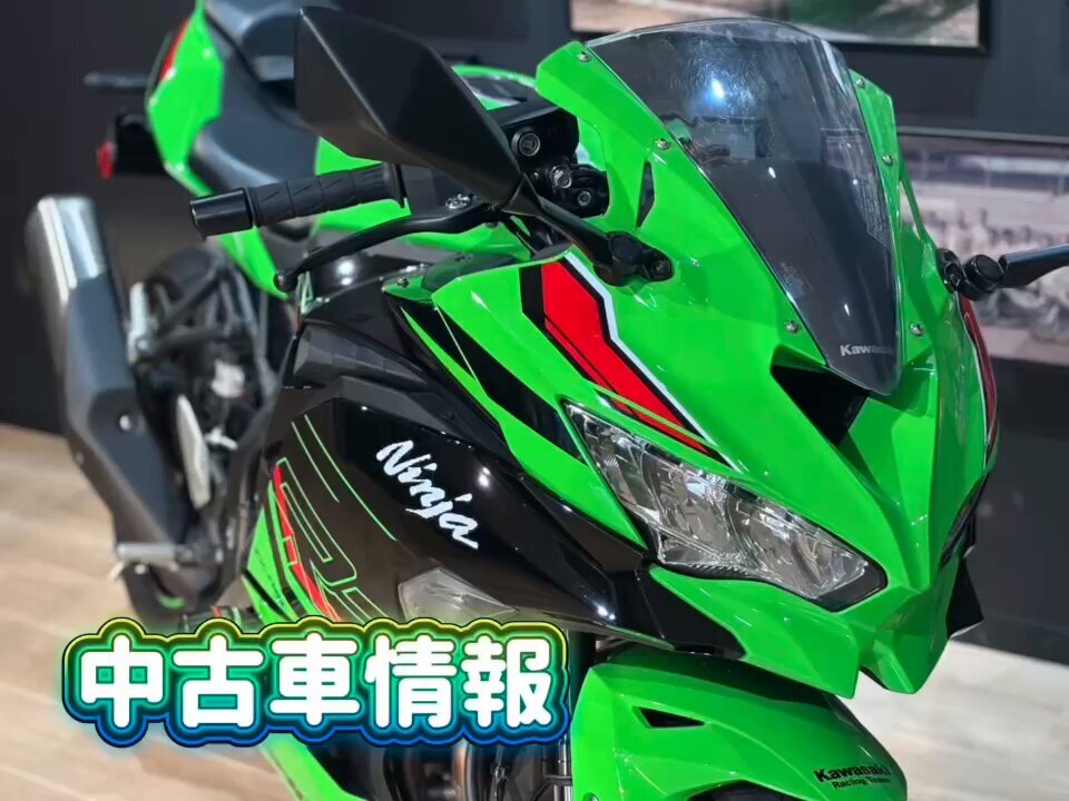 くまちゃんです。 X（旧Twitter）で話題のおもしろ画像や動画 - Yahoo