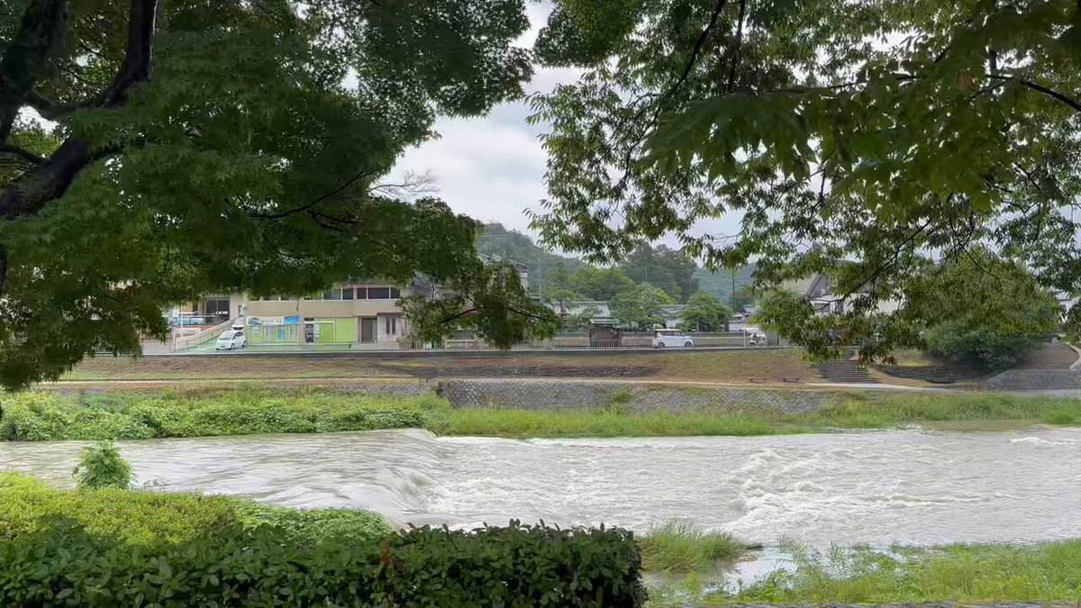 賀茂川 京都 鴨川」のYahoo!リアルタイム検索 - X（旧Twitter