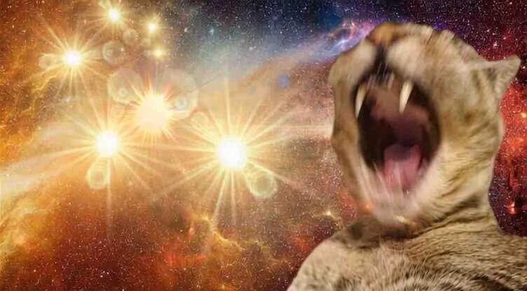 アーサーバローズ、京都競馬で注目を集めた！