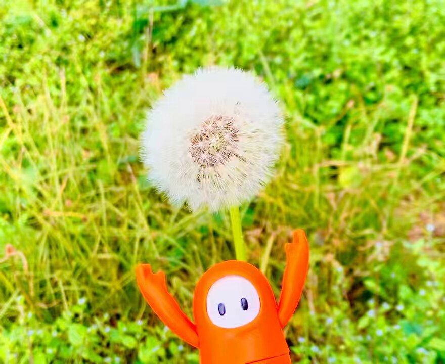 たんぽぽ」のYahoo!リアルタイム検索 - X（旧Twitter）をリアルタイム検索