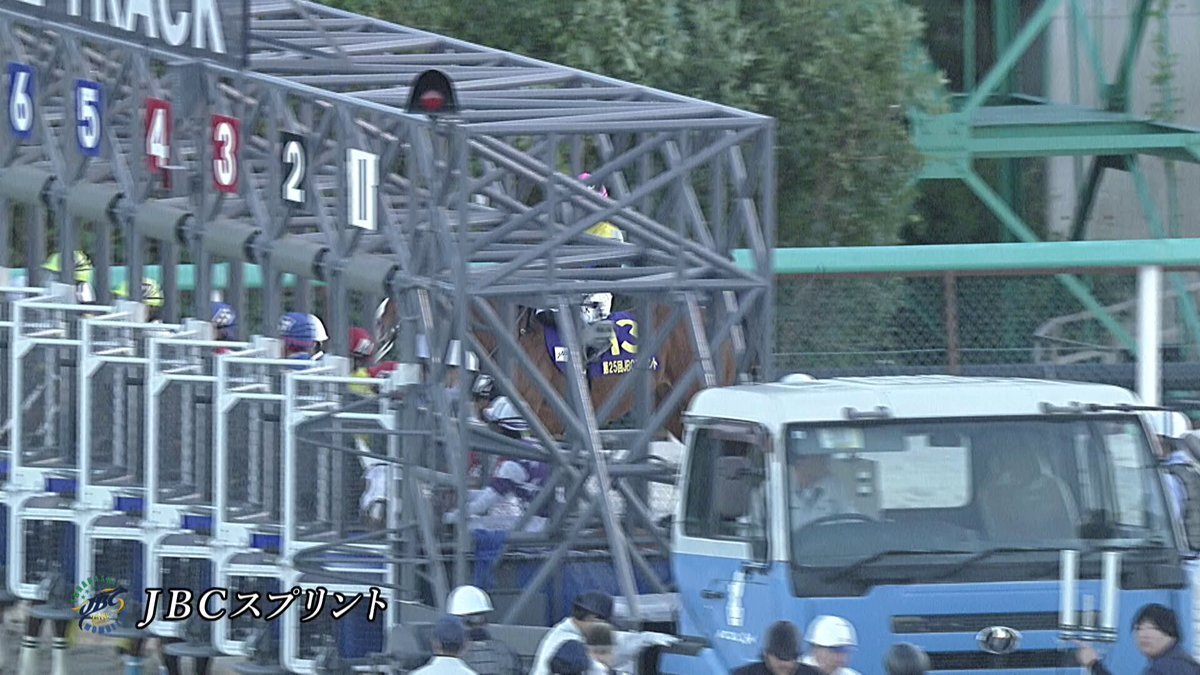 ファーンヒル、JBCスプリント制覇！