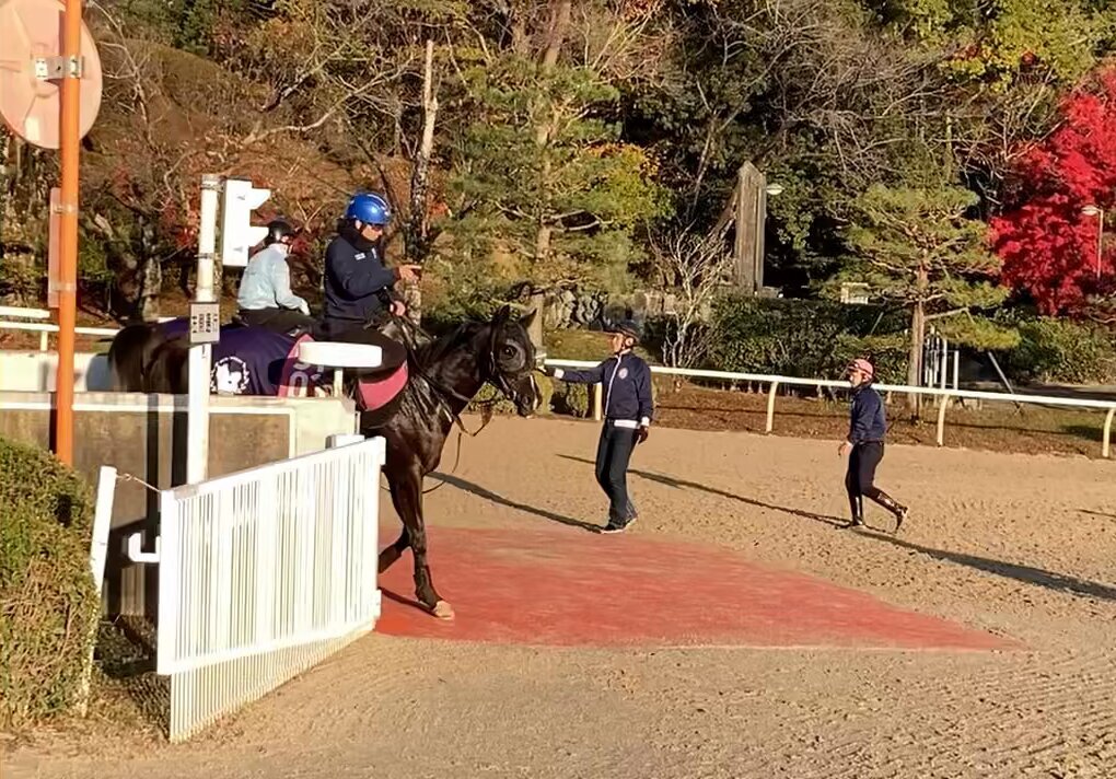 クロワデュノール、ジャパンカップへ！クリスチャン・デムーロ騎手による最終追い切りに注目