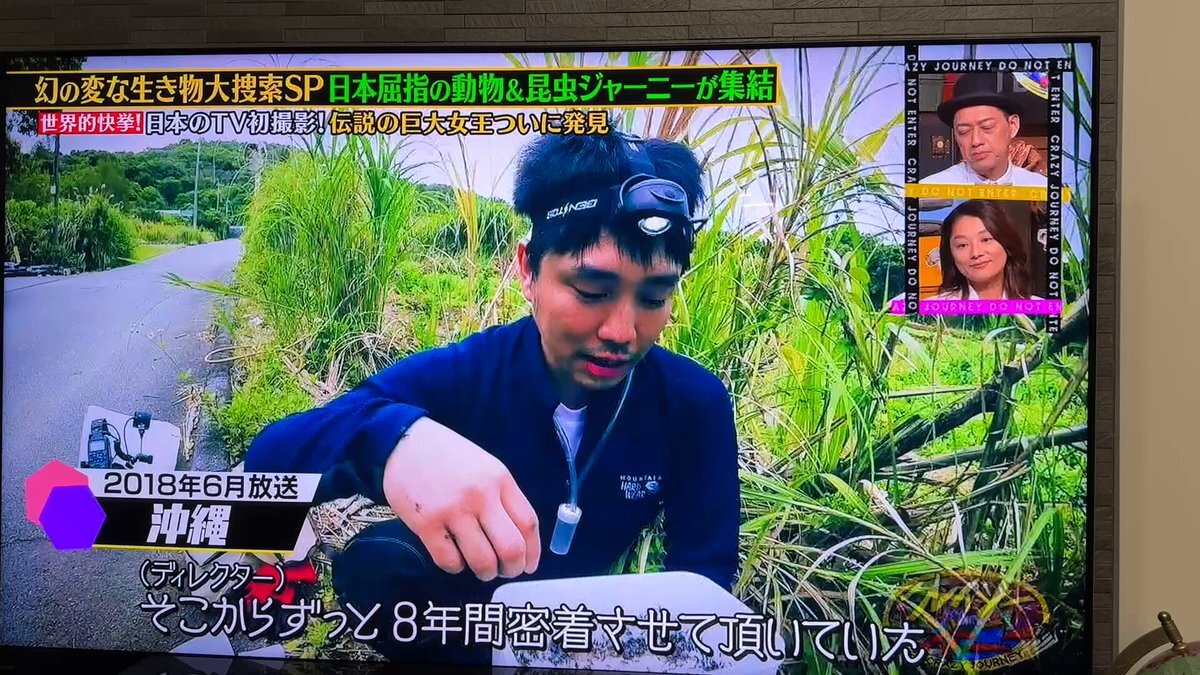 クレイジージャーニー8 クレイジージャーニー アリ」のYahoo!リアルタイム検索 - X（旧