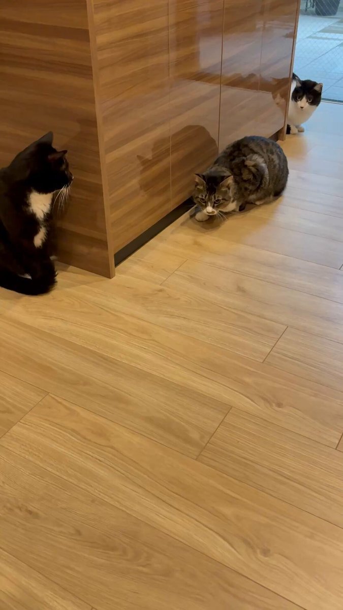 ミャクミャクくじ 1等」のYahoo!リアルタイム検索 - X（旧