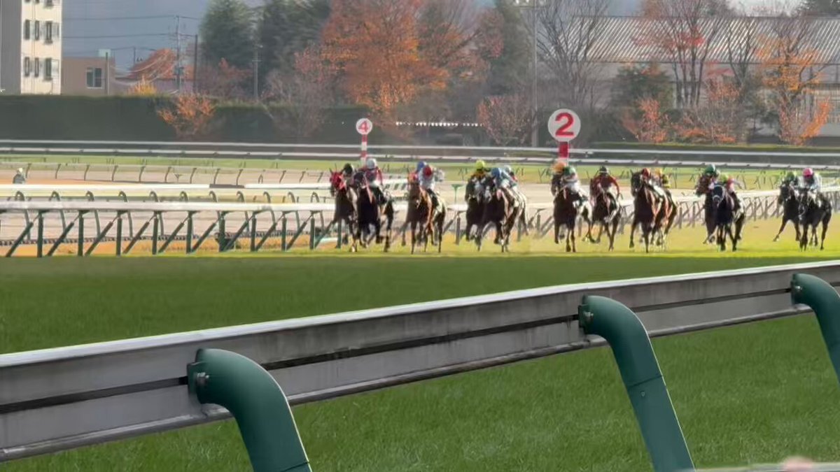 オルノア、惜しい5着！ファン「粘りに粘って」