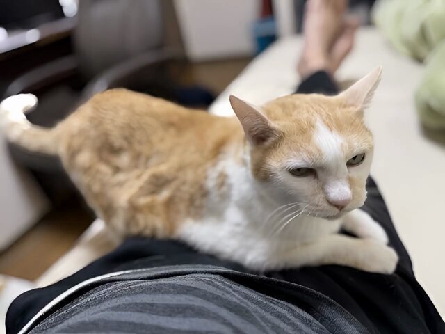 久しぶりに雨！投稿者たちの様々な反応