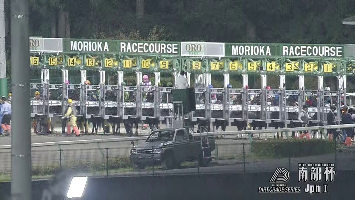 ウィルソンテソーロ、南部杯で圧勝！
