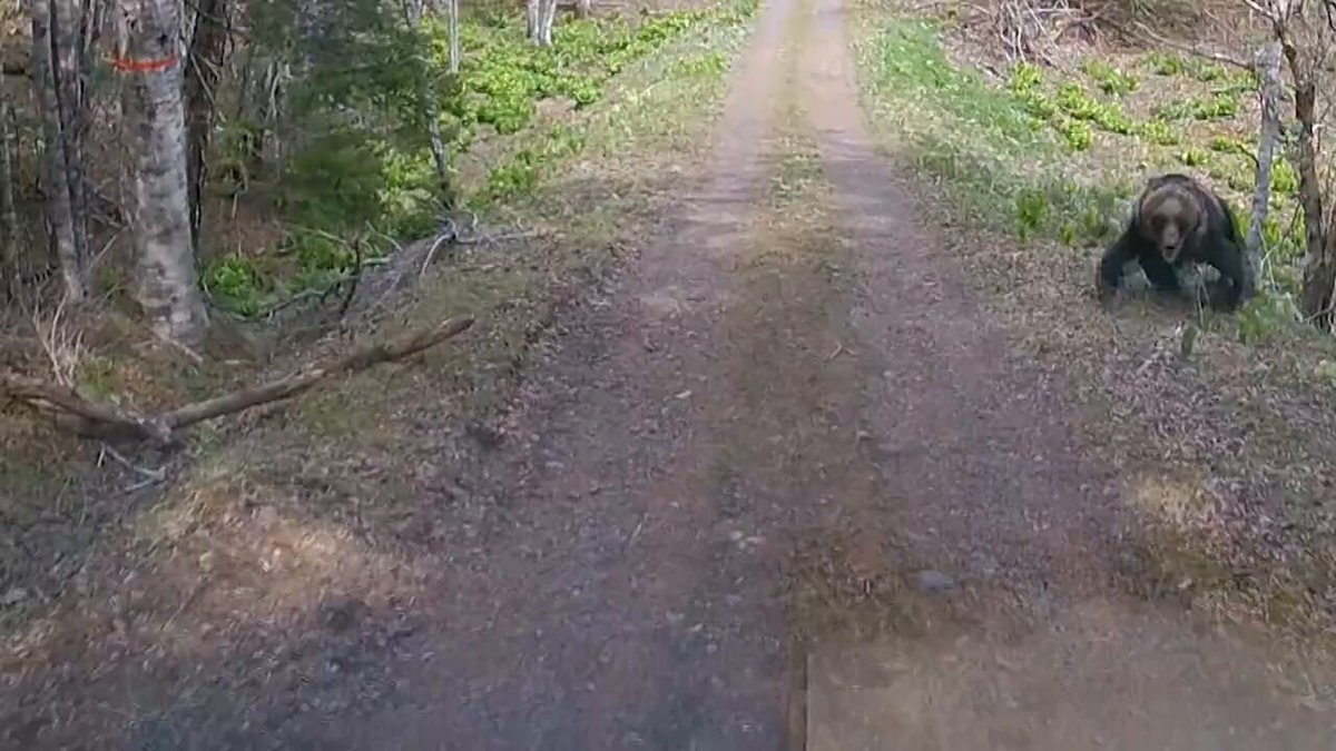 中国籍タクシー運転手、男性をボンネットに乗せて走行し逮捕