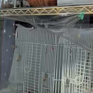 「さわやか自然百景、放送時間変更で視聴者困惑」