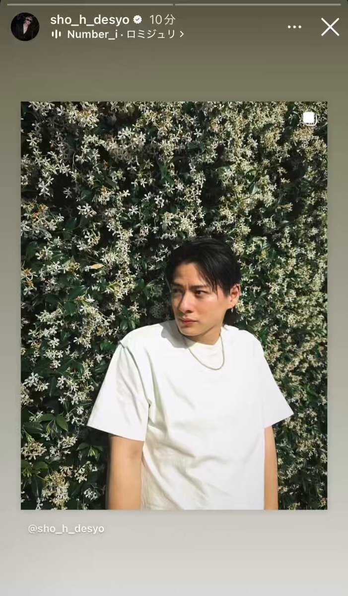 平野紫耀『LA 平野紫耀 明日』」のX(旧Twitter)検索結果 平野紫耀『LA 平野紫耀 明日』」のX(旧Twitter)検索結果