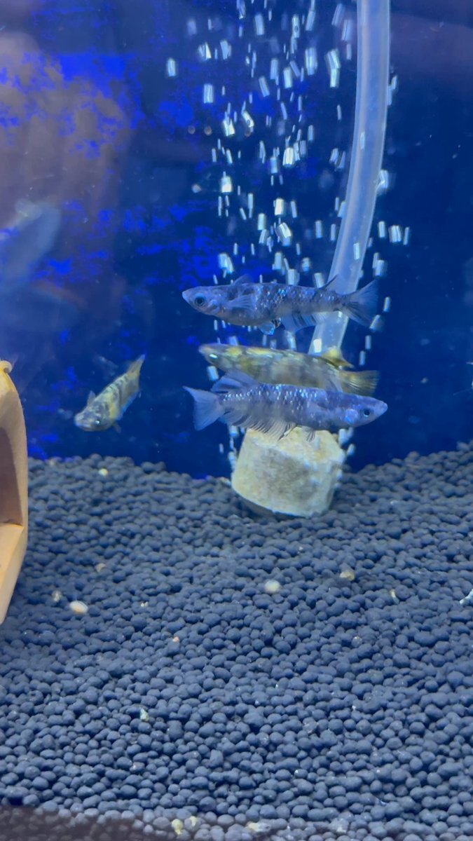 雨の日に、SNSユーザーはどんなことを考えている？