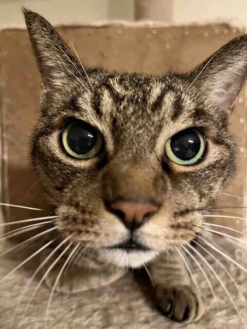 京都競馬1R 注目馬は？ 予想で盛り上がる！ 