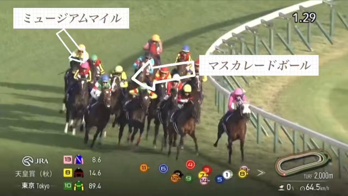 メイショウタバルのスロー逃げ、レースは予想外だった？