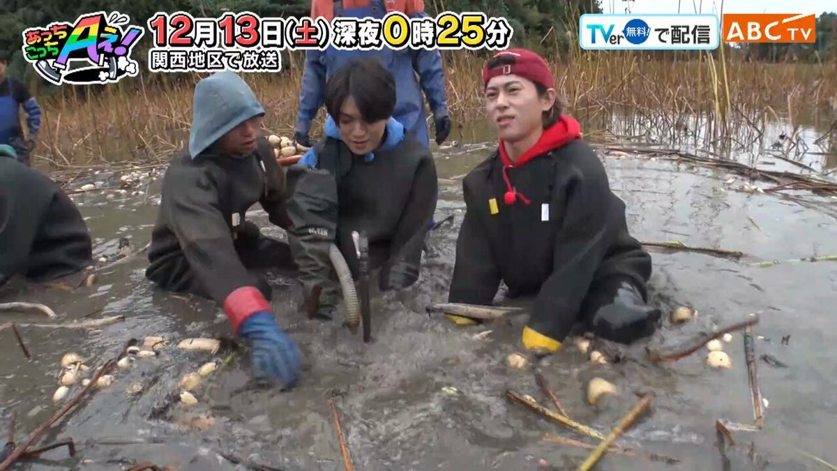 Aぇ!groupのレンコン畑、懐かしさと期待の声が殺到！