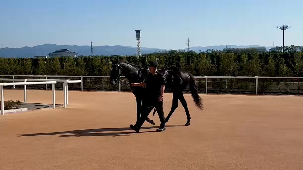 アドマイヤシュラ、新馬戦で圧勝！その活躍は？