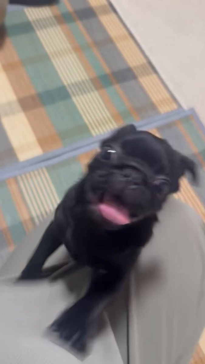 SNSで話題に！「叫びたい」気持ちは一体何？