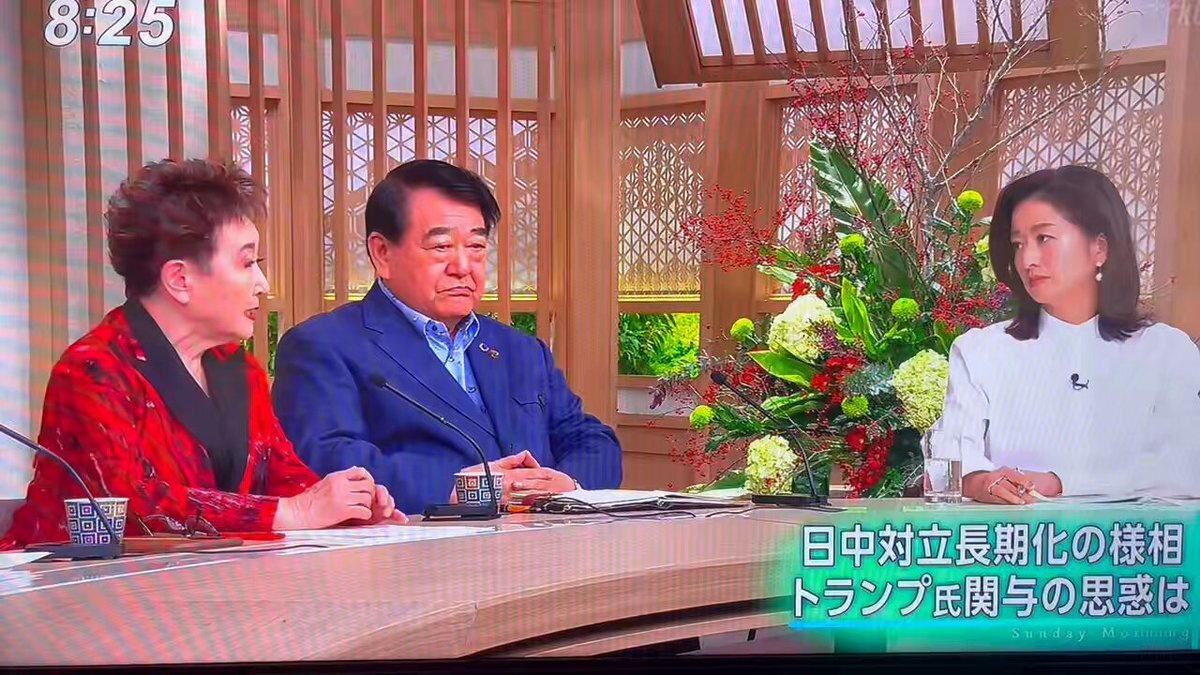 加藤登紀子氏発言に賛否両論  サンデーモーニング視聴者反応