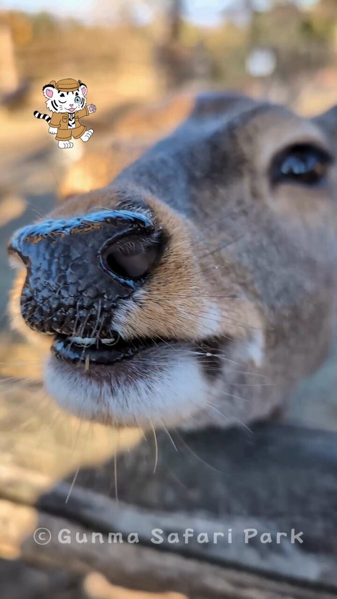 「触らないで」の声がSNSで響く  
