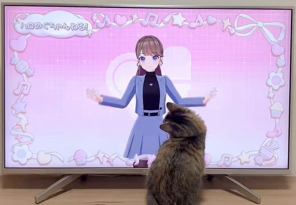 めぐ党歓喜！藤島慈の配信に「天使」「可愛い」の声殺到