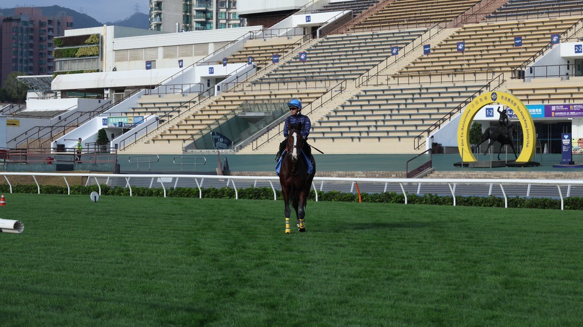 サンタさんへの「本物キャンター」願望にファンも爆笑！