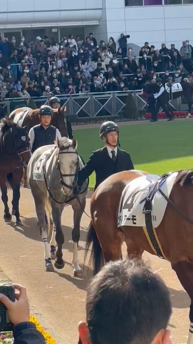 マイネルラズライト、デビュー戦で故障　ファン悲しむ