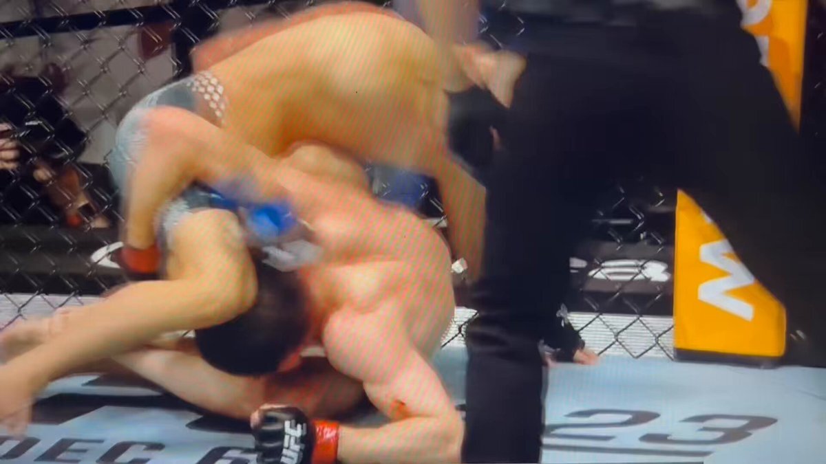 堀口恭司、カーフキックでウランベコフを圧倒！SNSで「強すぎる」の声