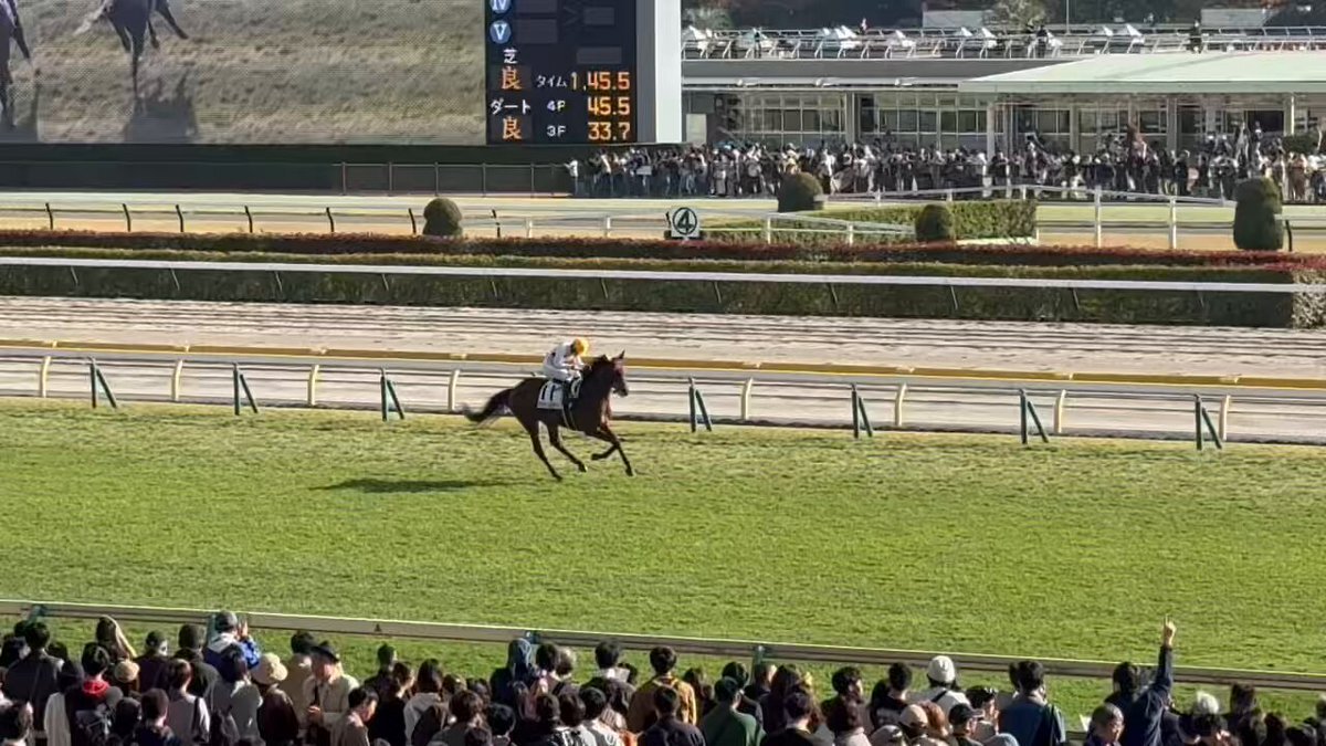 ミッキーソルジャー、レースで歩様乱れは大丈夫？