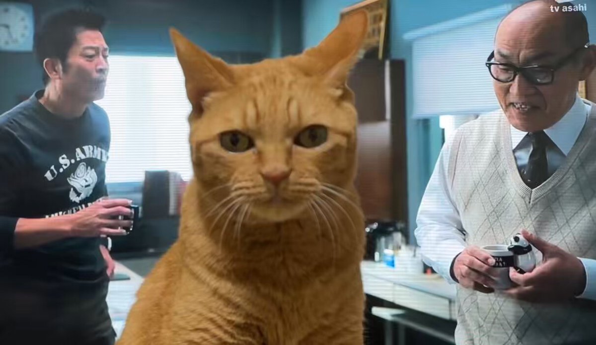 のせ猫 のせ猫 BIG│宝島社の通販 宝島チャンネル