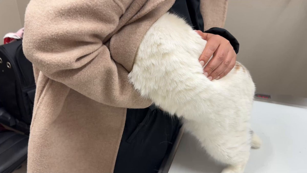JC　裏垢　おまんこ 裏アカjc」のYahoo!リアルタイム検索 - X（旧Twitter）をリアルタイム検索