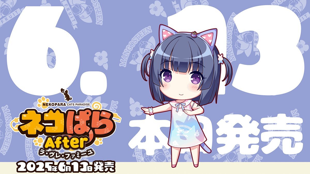 本日大幅値下げ ネコぱら - メルカリ