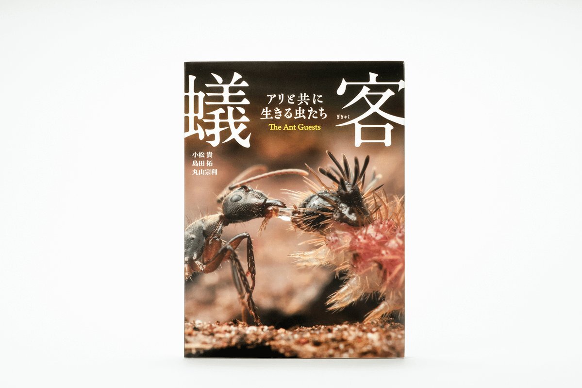 クレイジージャーニー　1-7 クレイジージャーニー【月曜よる10時】 (@Crazy_Journey) / X